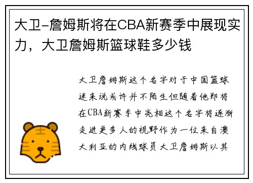 大卫-詹姆斯将在CBA新赛季中展现实力，大卫詹姆斯篮球鞋多少钱